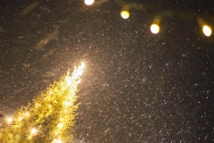 Osteomyelitishilfe_Weihnachtsmarkt_2017_19