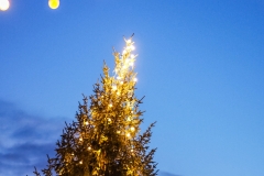 Osteomyelitishilfe_Weihnachtsmarkt_2017_08