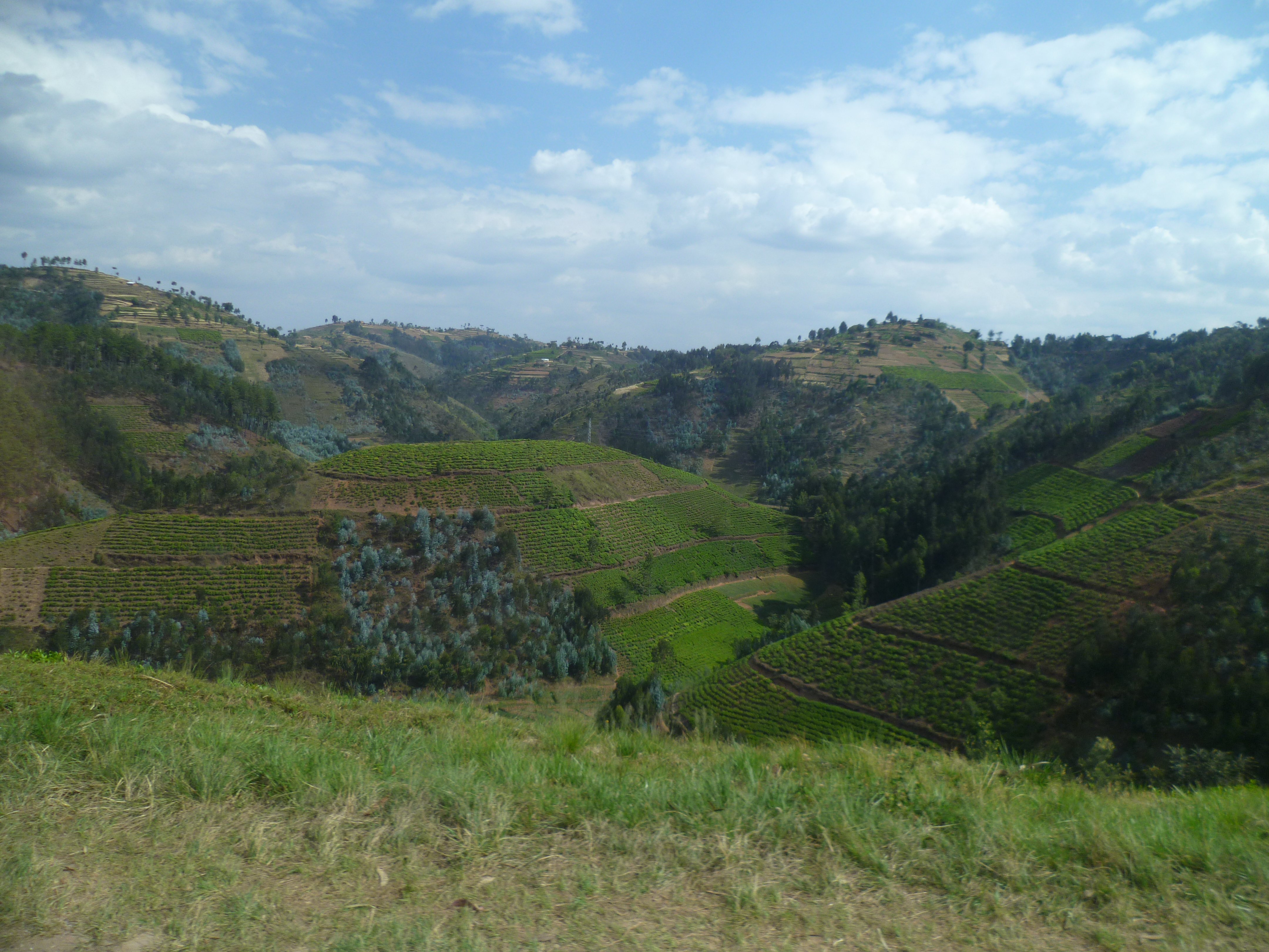 Ruanda_08