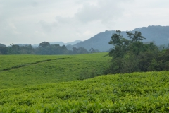 Ruanda_09